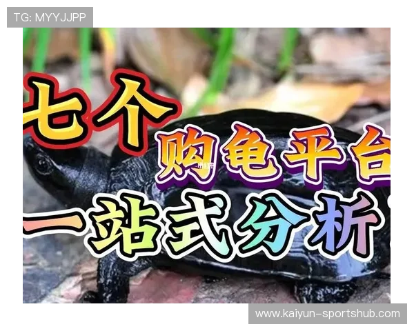 大型赛事预热期玩球大平台防骗避坑指南